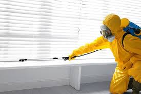 Professional Pest Control in Upper Grand Lagoon, FL